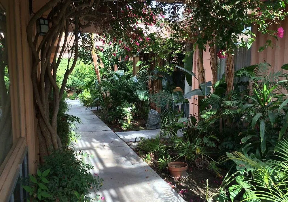 Triangle Inn Clothing Optional Resort For Men Palm Springs