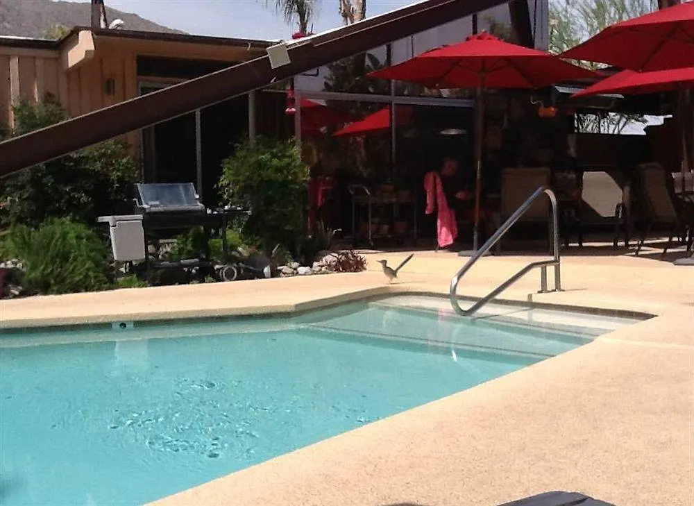 Triangle Inn Clothing Optional Resort For Men Palm Springs